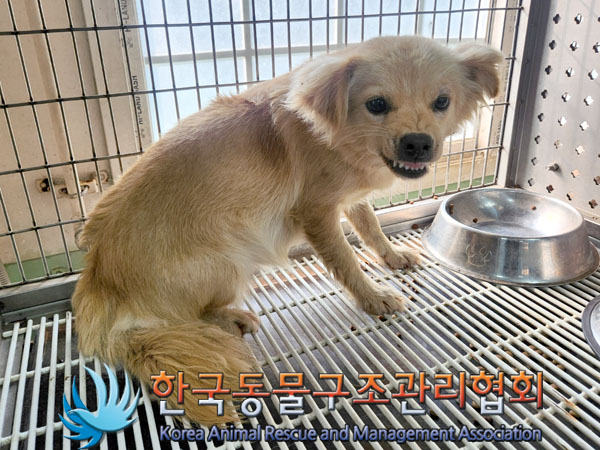 한국동물구조관리협회_441414202300550