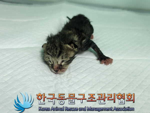 한국동물구조관리협회_411317202300206