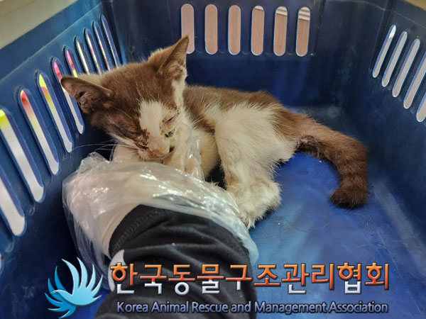 종료(자연사) 한국…