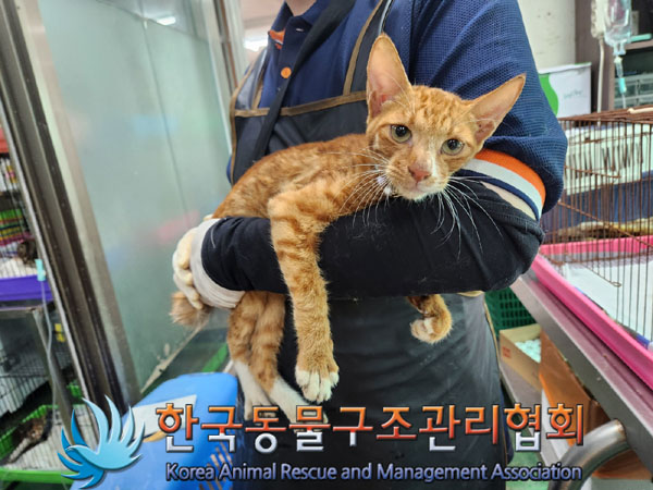 한국동물구조관리협회_411322202300459