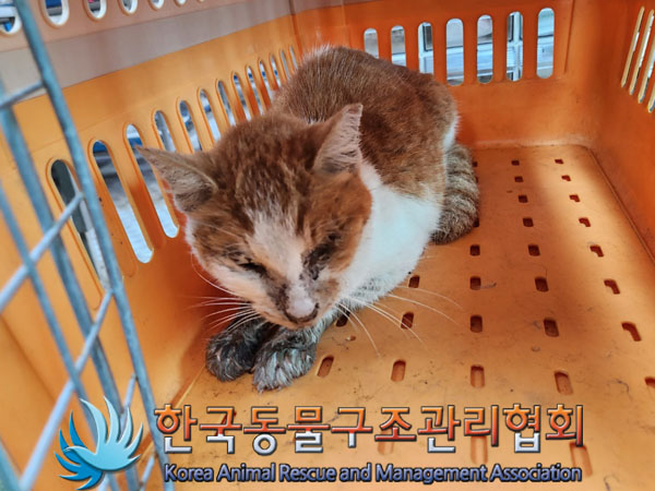 종료(자연사) 한국…