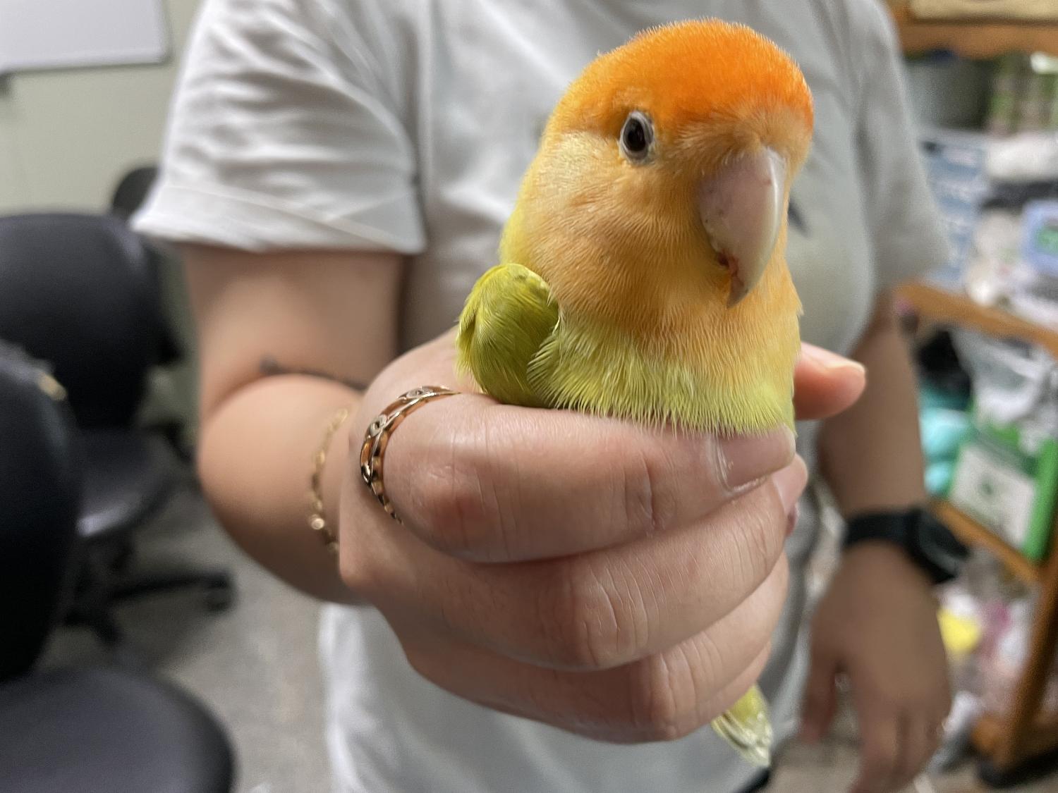 광주 동물보호소_429361202300323