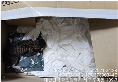 대전동물보호센터_430366202300459