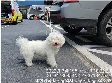 대전동물보호센터_430366202300457