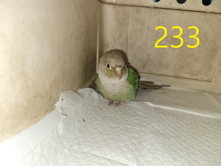 신영재동물병원_428355202300395
