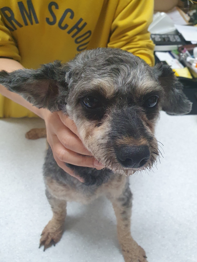 최종주동물병원_443444202300402