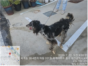 대전동물보호센터_430365202300343
