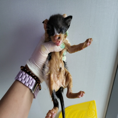 누리동물병원_426338202300264