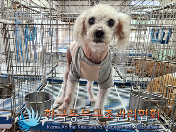 한국동물구조관리협회_411307202300263