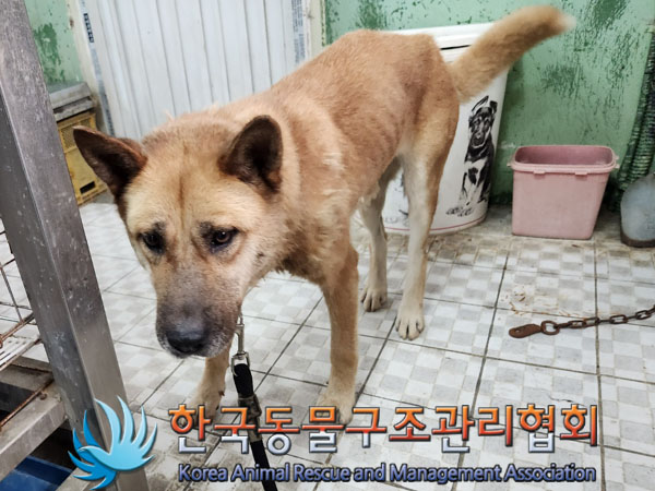 한국동물구조관리협회_441560202300930