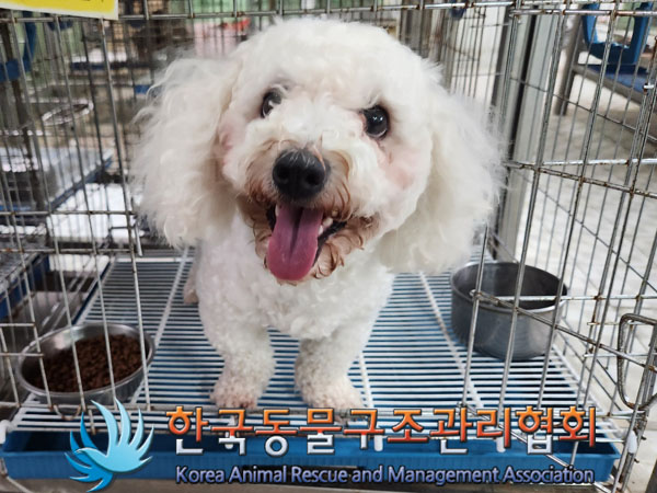 한국동물구조관리협회_411300202300305