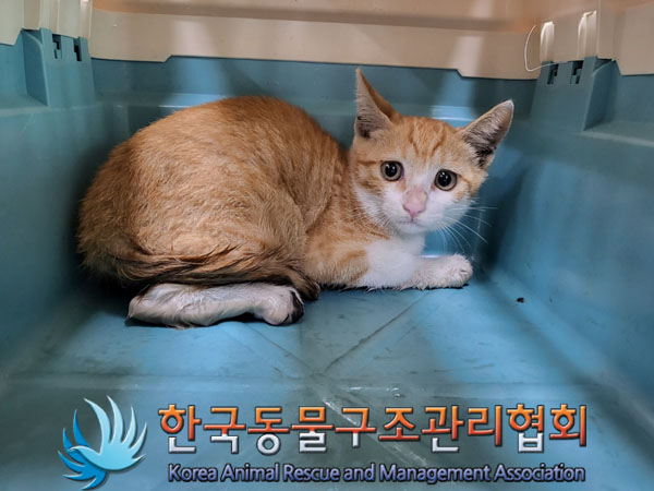 한국동물구조관리협회_411311202300617