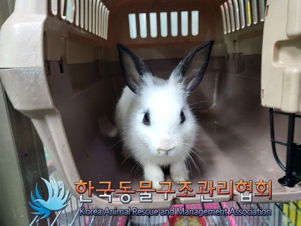 한국동물구조관리협회_411306202300497