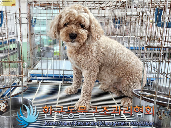 한국동물구조관리협회_441398202300280