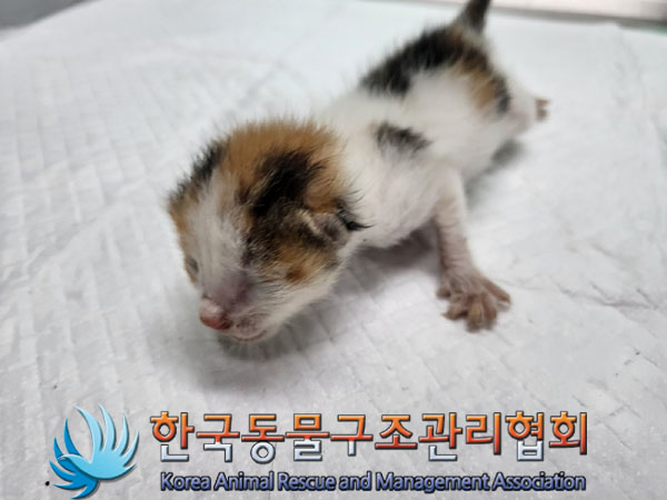한국동물구조관리협회_411315202300484