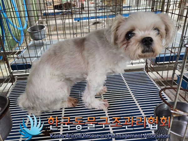 한국동물구조관리협회_411310202300333