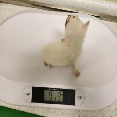 누리동물병원_426333202300571