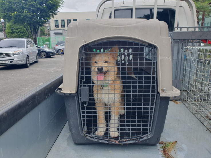 청원동물병원_445470202300618
