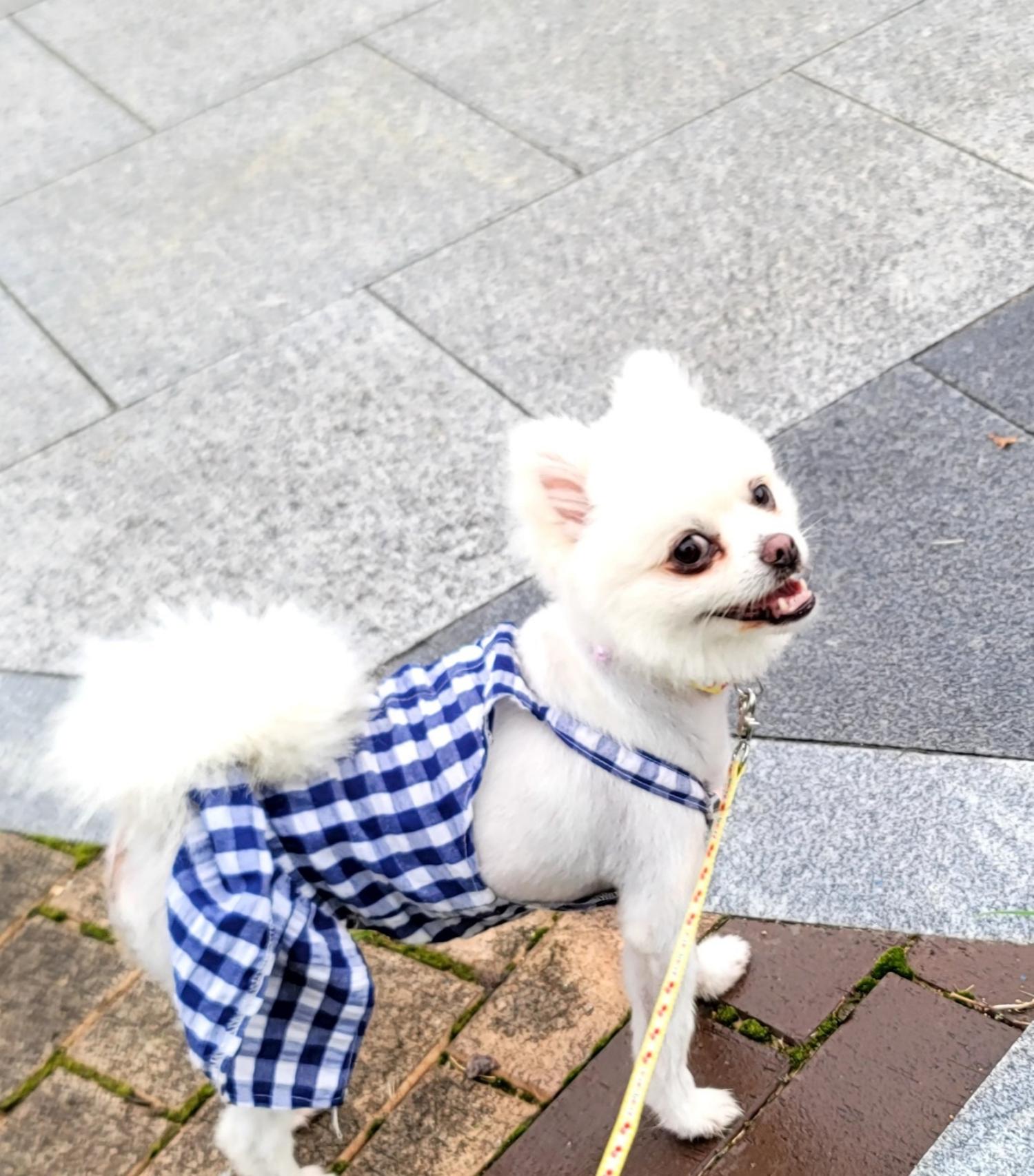 종합축산_447512202300480