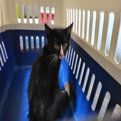 누리동물병원_426331202300229