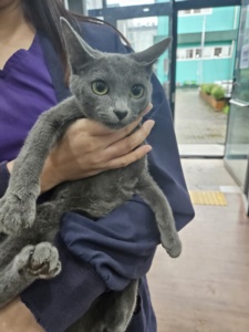 제주 동물보호센터_450650202302561