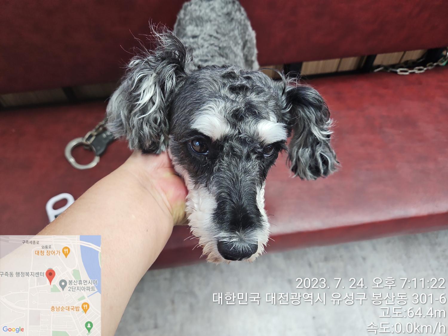 대전동물보호센터_430367202300422