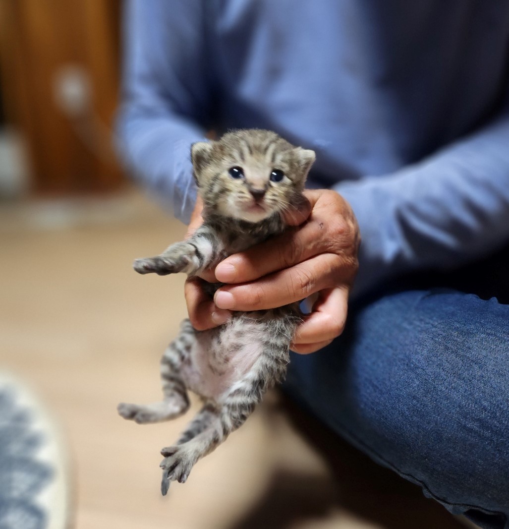 울산유기동물보호센터_431371202300369