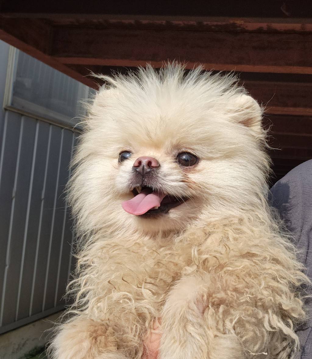 한국야생동물보호협회_441393202301362
