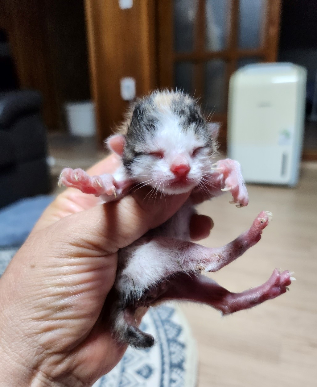 울산유기동물보호센터_431369202300533