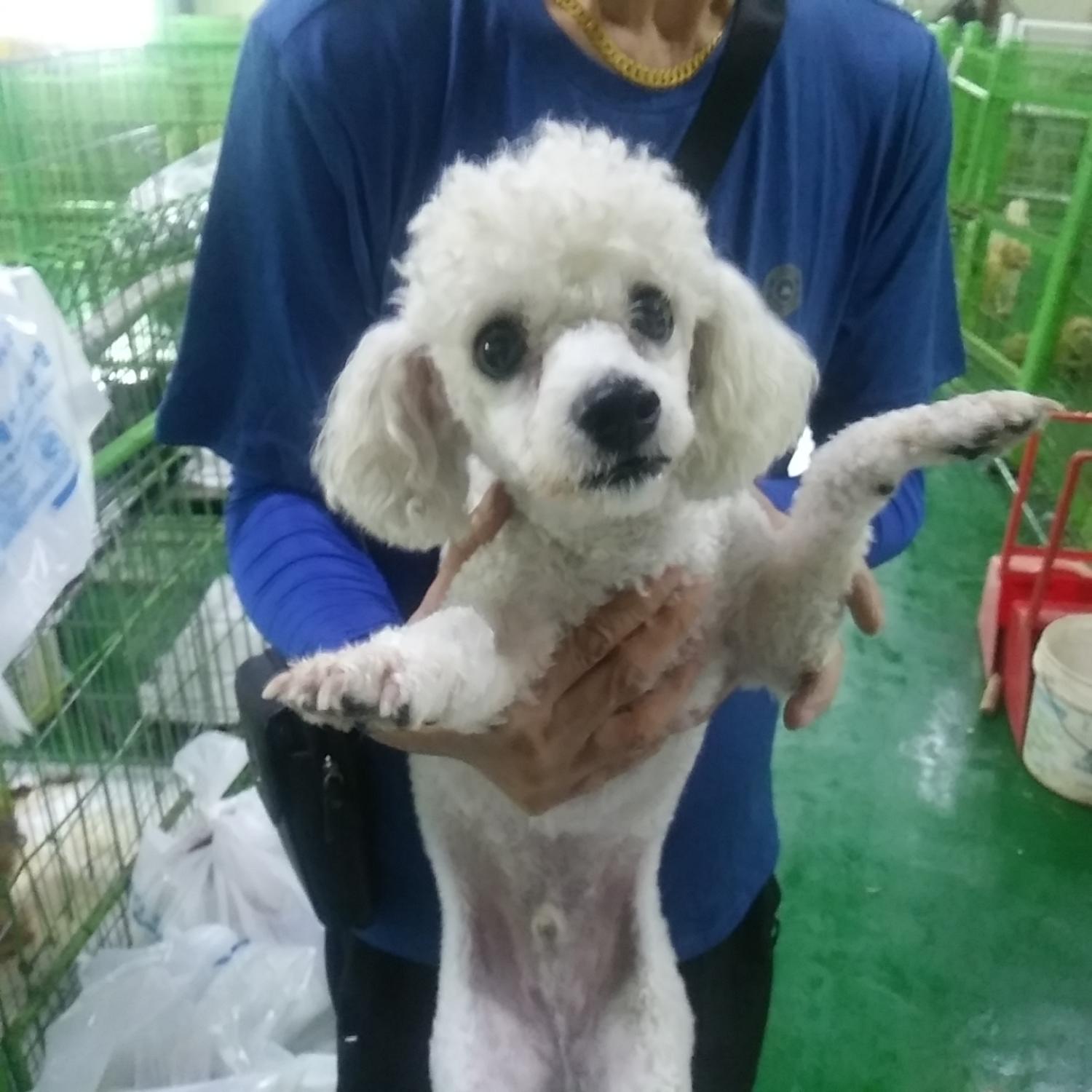 인천광역시수의사회_428351202300606