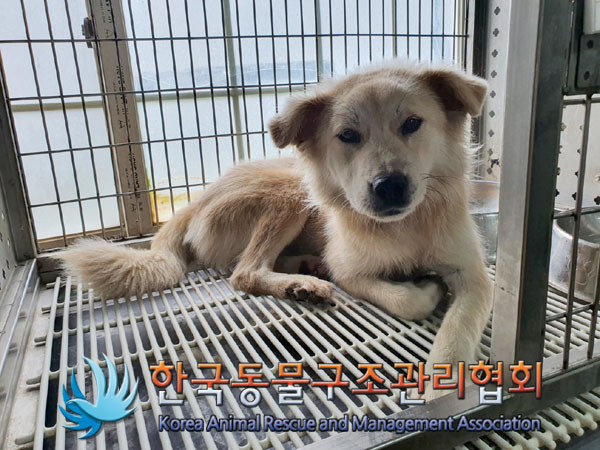 한국동물구조관리협회_441559202300798