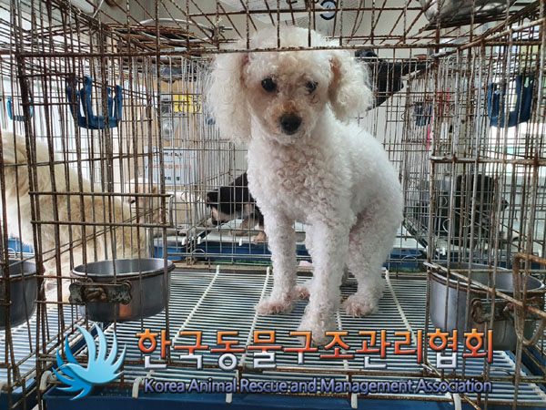 한국동물구조관리협회_441382202300500