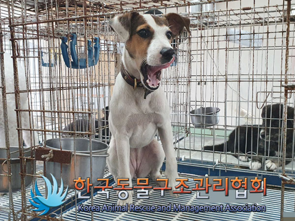 한국동물구조관리협회_441406202301086