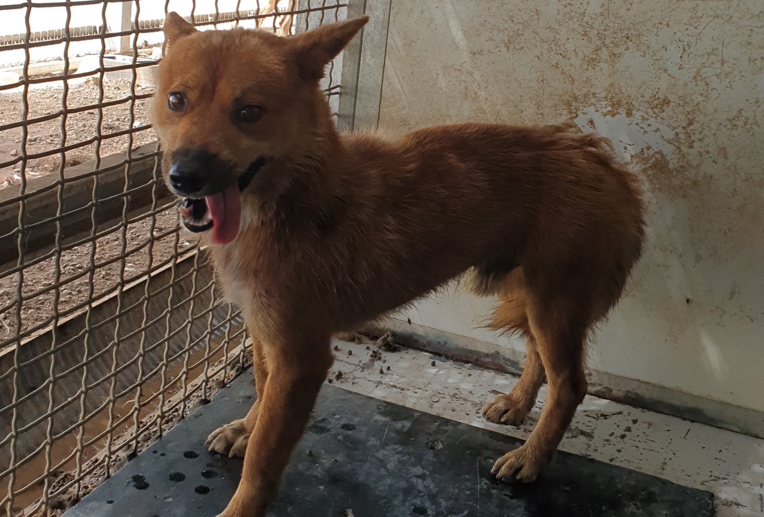 남양동물보호센터_441553202302240