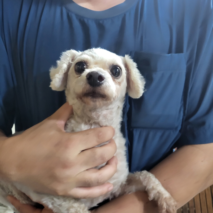 이성준동물병원_441408202300940