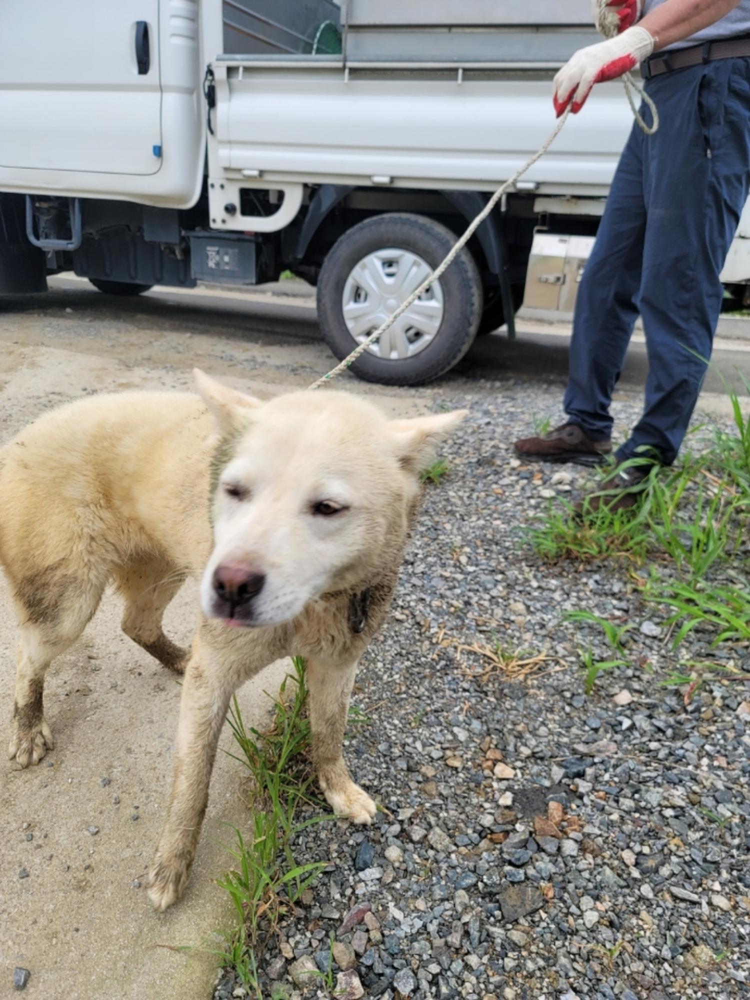 괴산증평동물보호센터_443446202300287