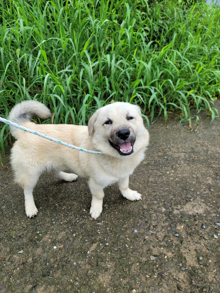 괴산증평동물보호센터_443446202300288