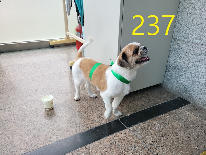 신영재동물병원_428355202300399