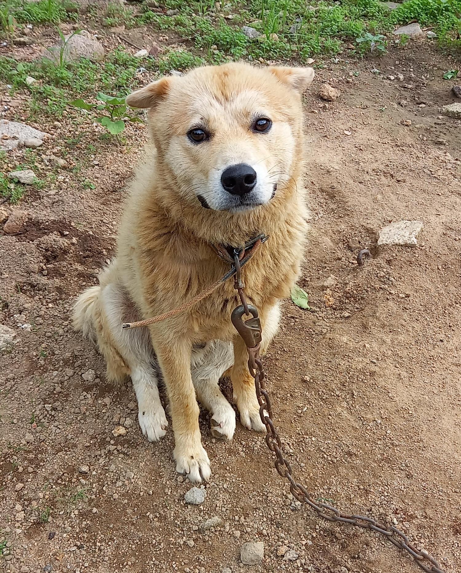금일동물보호센터_444460202300658