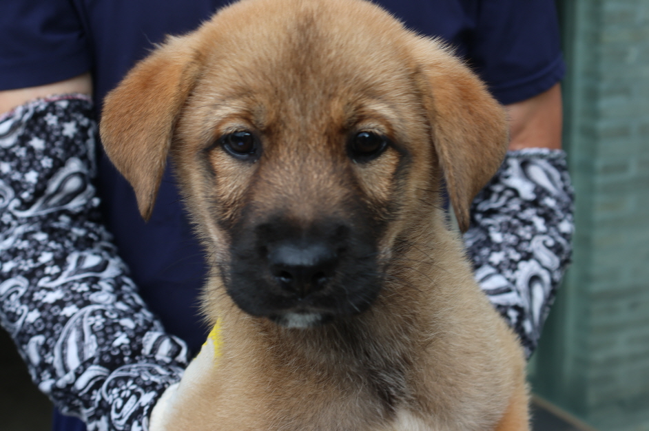 제주 동물보호센터_450650202302589