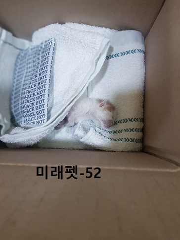 미래펫동물병원_431370202300712