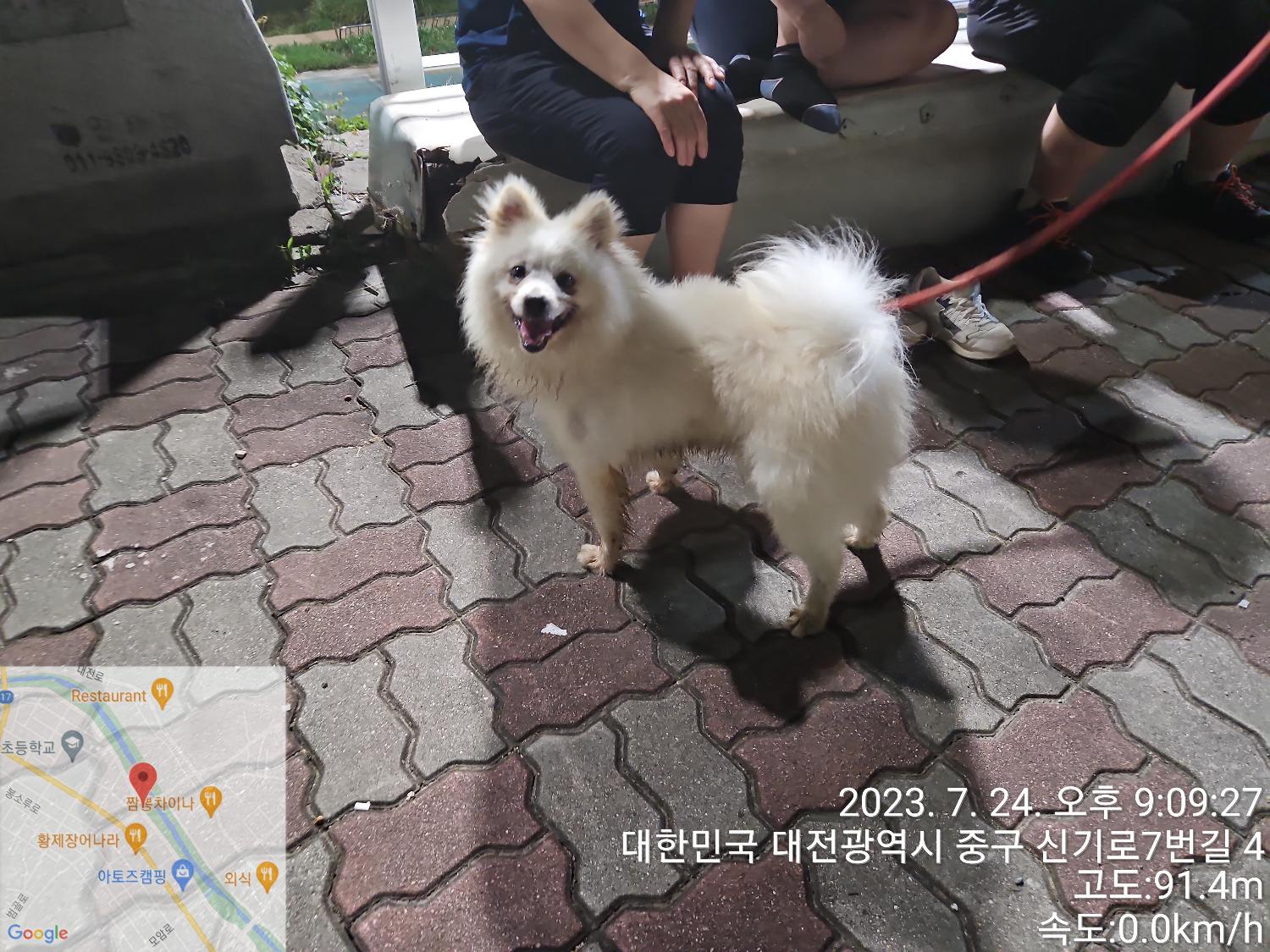 대전동물보호센터_430365202300346