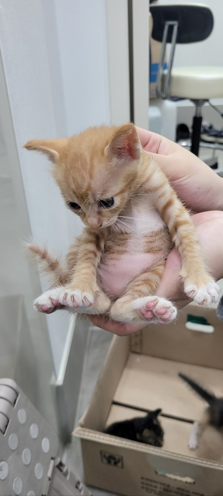 동행동물병원_427348202300713