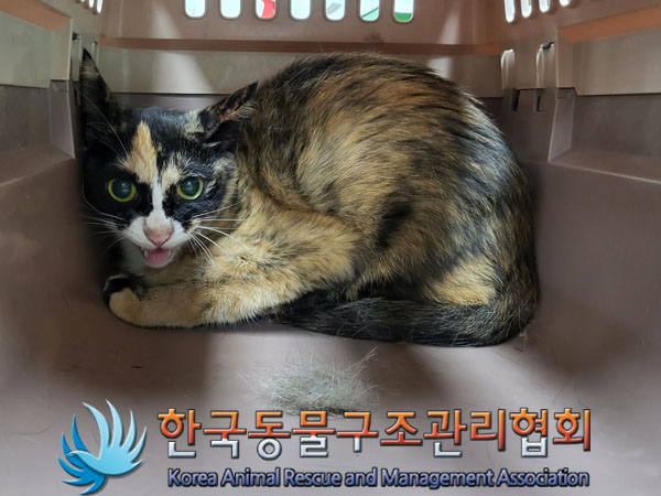 한국동물구조관리협회_411300202300309