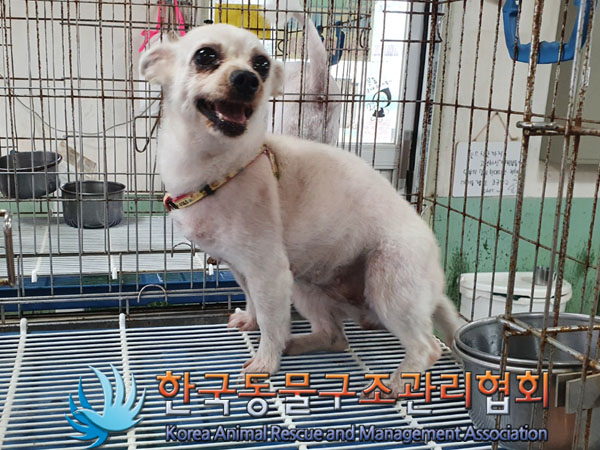 한국동물구조관리협회_441392202300159