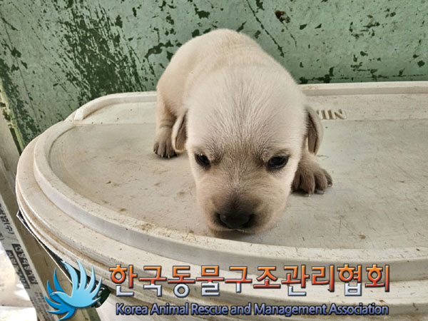 한국동물구조관리협회_441406202301114