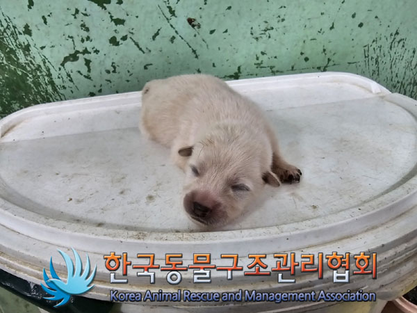 한국동물구조관리협회_441406202301102