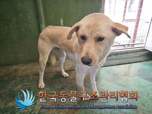 한국동물구조관리협회_441406202301099