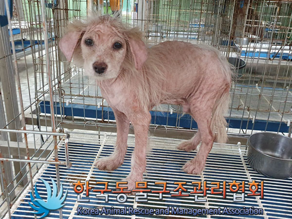 한국동물구조관리협회_441559202300799