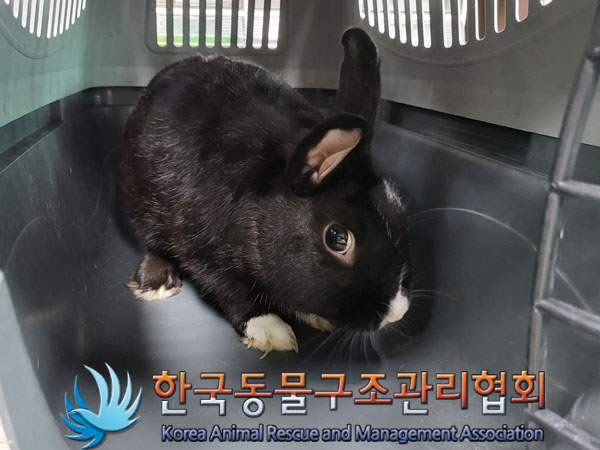 한국동물구조관리협회_411312202300496